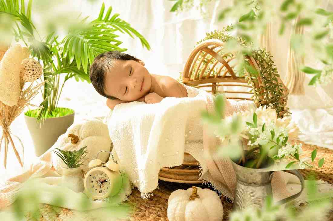 1 months to 6 month baby photoshoot